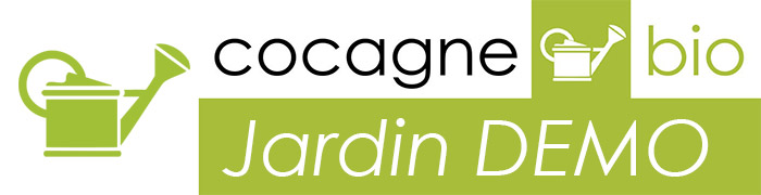 Accueil